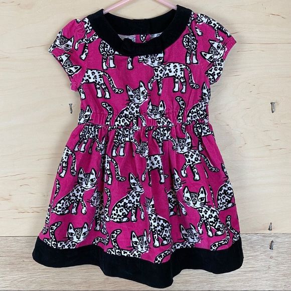 Gymboree Other - Gymboree Kitten Corduroy Dress